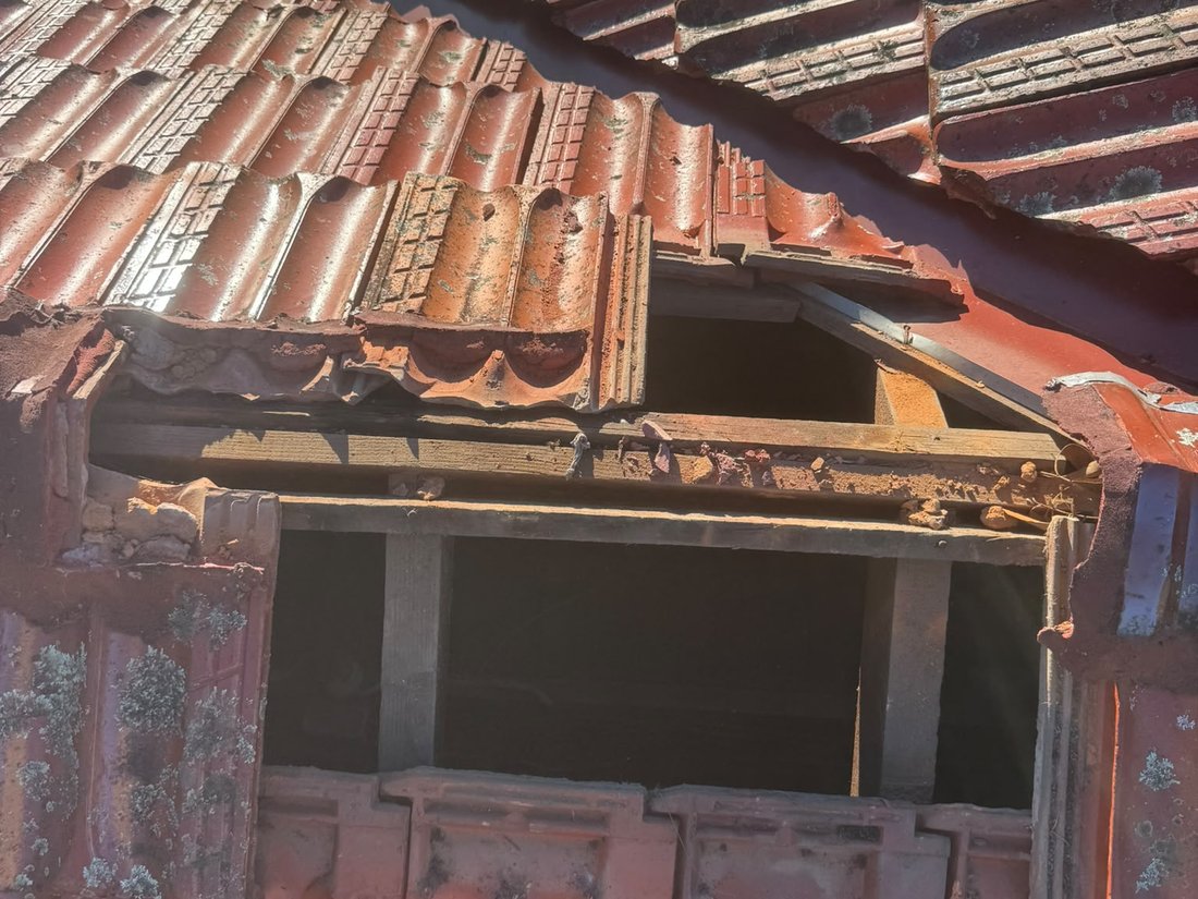 Roof tiles lifted showing battens and open roof cavity with no sarking underneath