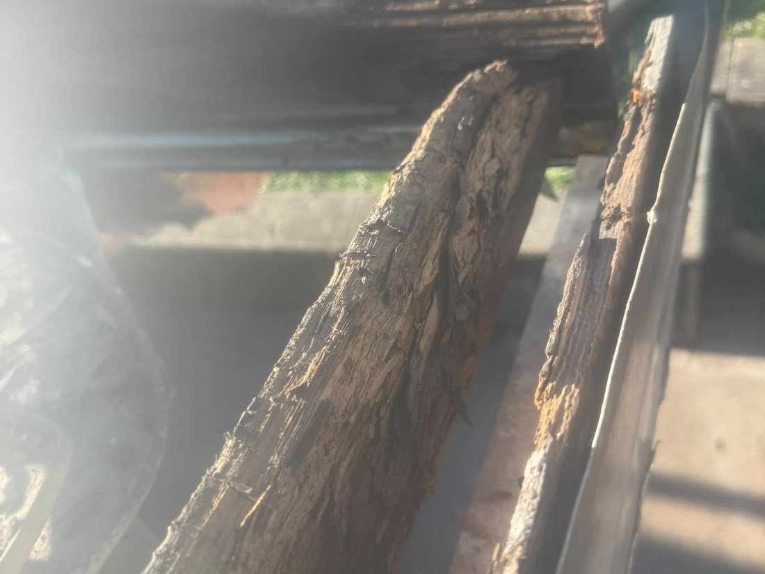 Rotted timber batten at the eave line above the gutter, degraded through from water damage