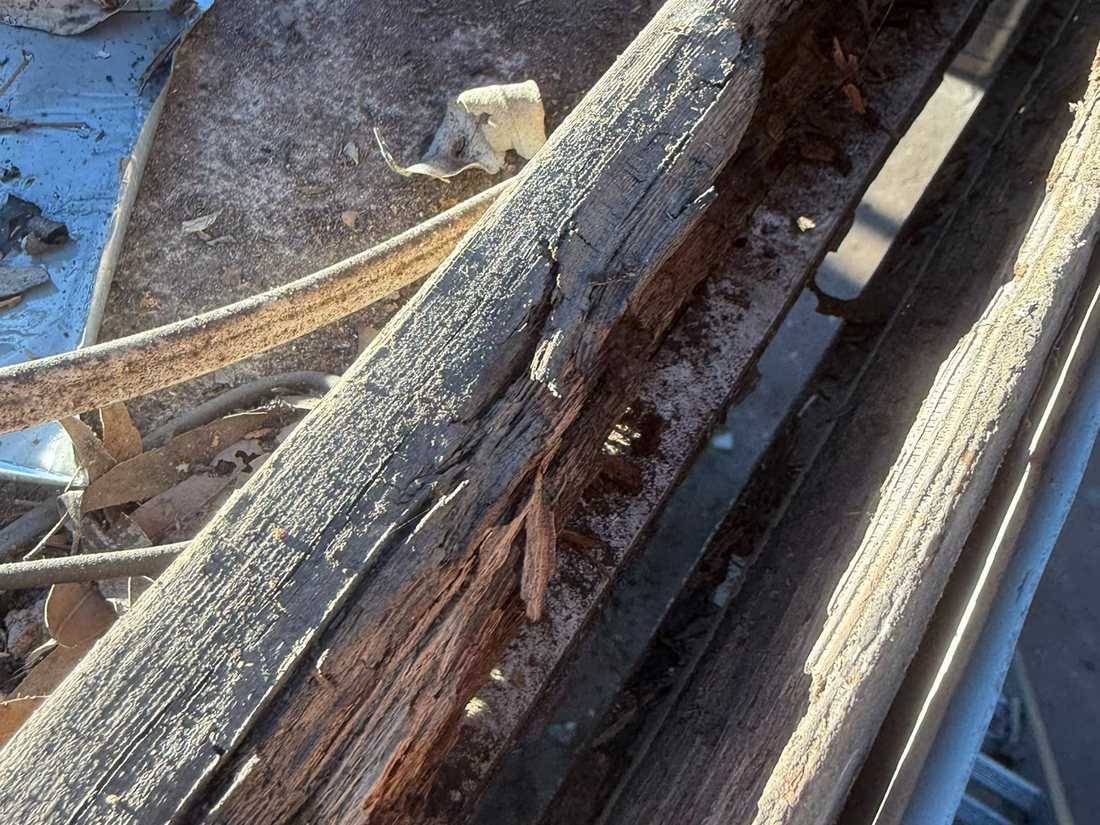 Roof battens rotted and delaminating from years of water damage under an unsarked roof