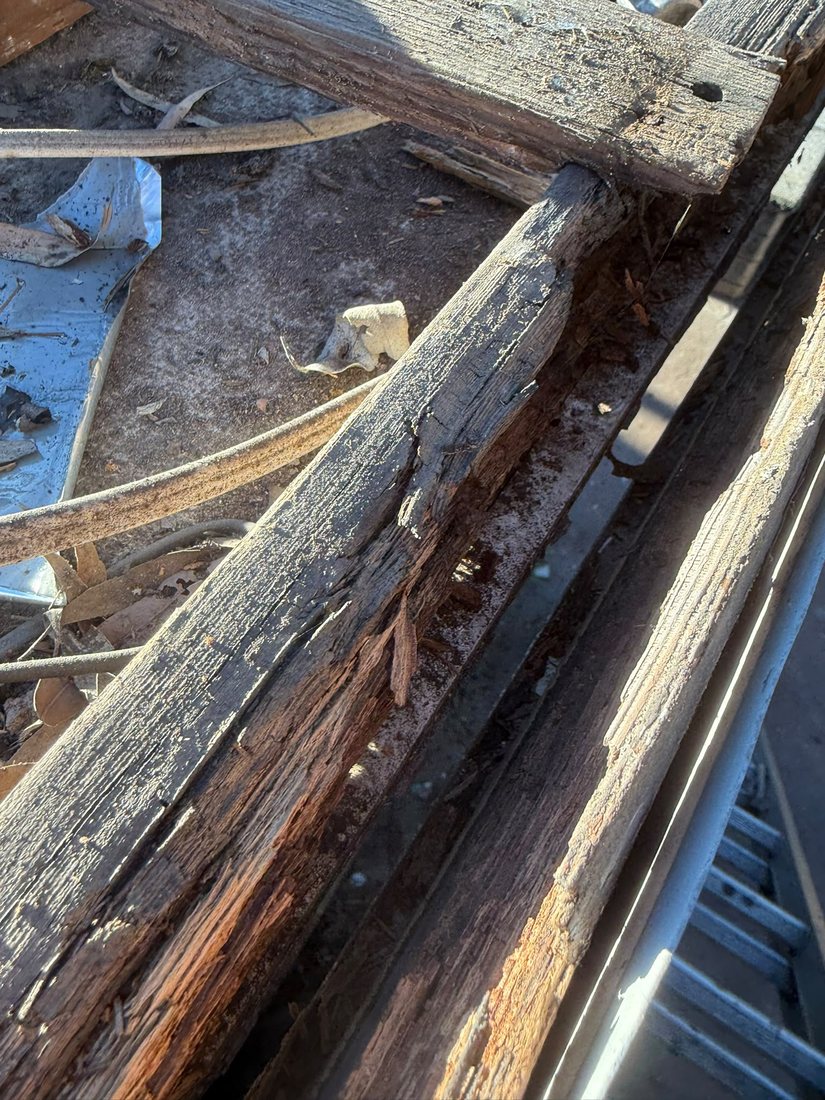 Rotted roof battens from long-term water damage Sydney